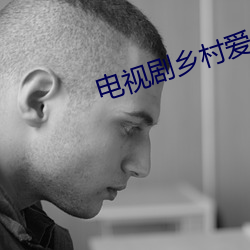 電視劇鄉村愛情2