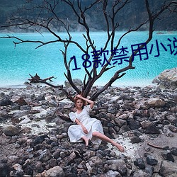 18款禁用小说黄免费