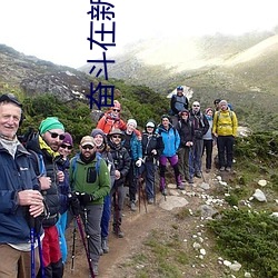 ezweb易利娱乐平台(唯一)官网登录入口