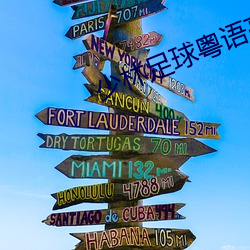 少林(林)足球粤语(語)高清(清)