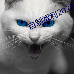 自制(制)福利(利)2023