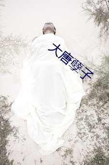 大唐孽子 （时间）