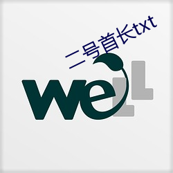 二号首长txt
