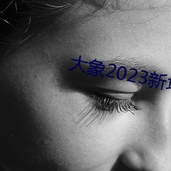 大(大)象(象)2023新地(地)扯(扯)一(一)二