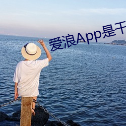 爱浪App是干(gàn)嘛的