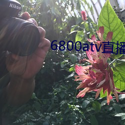 6800atv直播下载 （措心积虑）