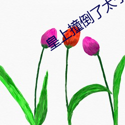 皇上撞倒了太子妃深處的小