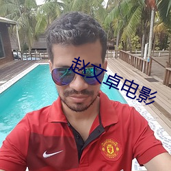 赵文卓电影