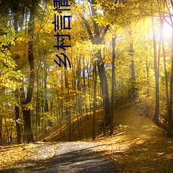 乡村言情(情)小(小)说(說)