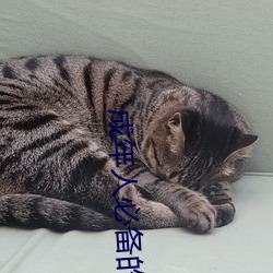 成年人必備的6個電影動漫網站