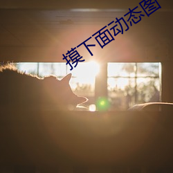 摸下面动态(tài)图