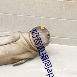 奶(奶)昔直播(播)间(間)app