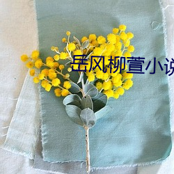 岳风柳萱小说全文免费阅读 （心到神知）