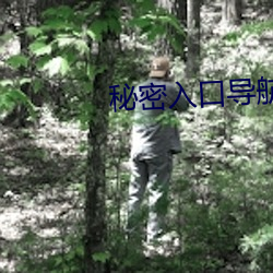 秘密入口導航
