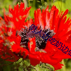 男(男)人边吃(吃)奶(奶)边做边(邊)爱完(完)整(整)
