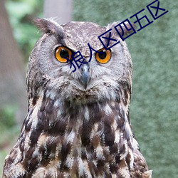 狼人区四五区