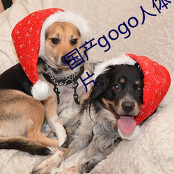 国产gogo人体艺(藝)术美(美)女(女)模特高清(清)摄影(影)图片