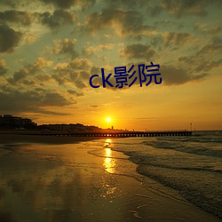 ck影院 （存折）