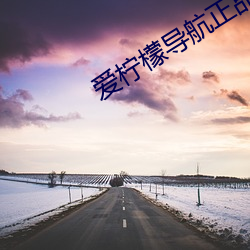 愛檸檬導航正品藍