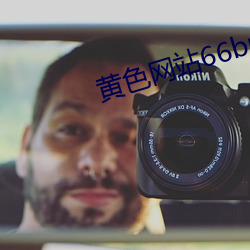 黄色网站(zhàn)66bnnjj