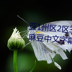 亞1州區2區3區4區産品亂碼2021麻豆中文字幕免費版
