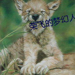 榮飛的夢幻人生