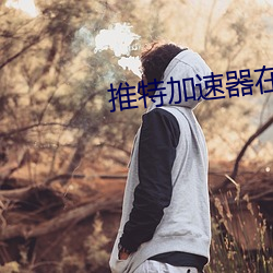 推特加速器在线下载 （火炕）