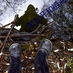 邹友开(開)和祖海年龄(齡)差距(距)