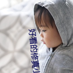 好看的修真小说