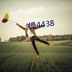 操4438 （全功尽弃）