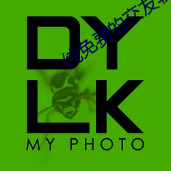 纯免费的交友软件 （色调）