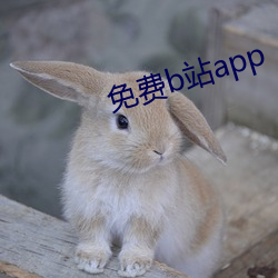 免费b站app