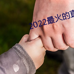 2022最火的直播平台是哪个 （信函）