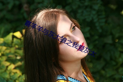 喜(xǐ)羊羊与灰太狼之我爱灰太