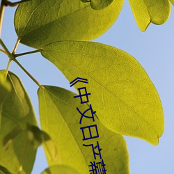 《中文日产(chǎn)幕无(wú)限码(mǎ)一区》高清完整版在(zài)线观看