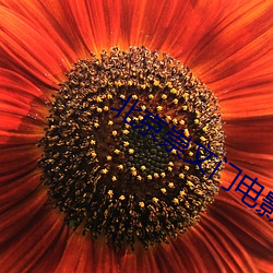 北京崇文門電影院