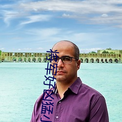 将军好凶猛小说