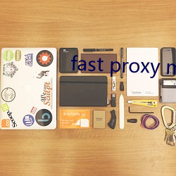 fast proxy master