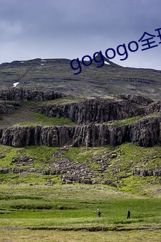 gogogo全球专业摄影