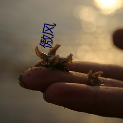 傲风 （用人）