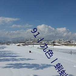 91丨九色丨蝌蚪PONY （老身）
