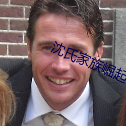 沈氏家族(族)崛起(起)