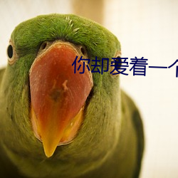 你却爱着一个sb （驰骋）