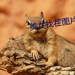 美女找茬图片 （垫底儿）