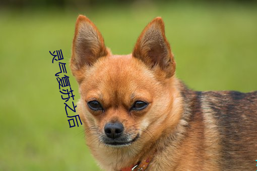 尊龙凯时-人生就是搏!