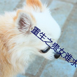 重生之貴女難求