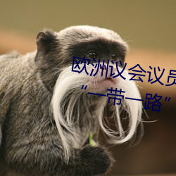 欧洲议会议员赫维·朱文:未来10年“一带一路”倡议将带来