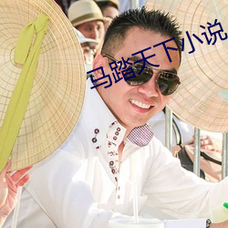 馬踏天下小說