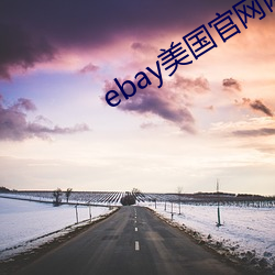 ebay美國官網網址