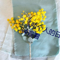 《两个人的日本视频》无删减90分钟观看